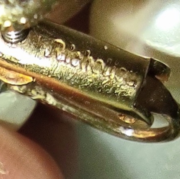 Vintage High-end Clip on Pearl Earrings - Picture 4 of 7